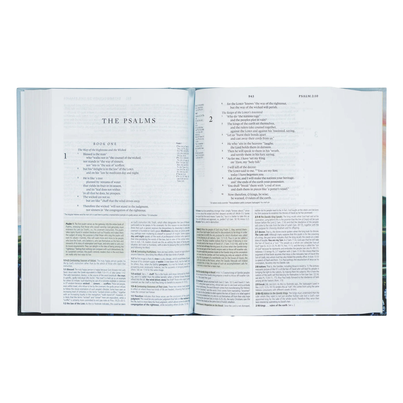 ESV Study Bible: Iceland Theme-402 MISC GIFTS-Hosanna Revival-Adelyn Elaine's Boutique, Women's Clothing Boutique in Gilmer, TX