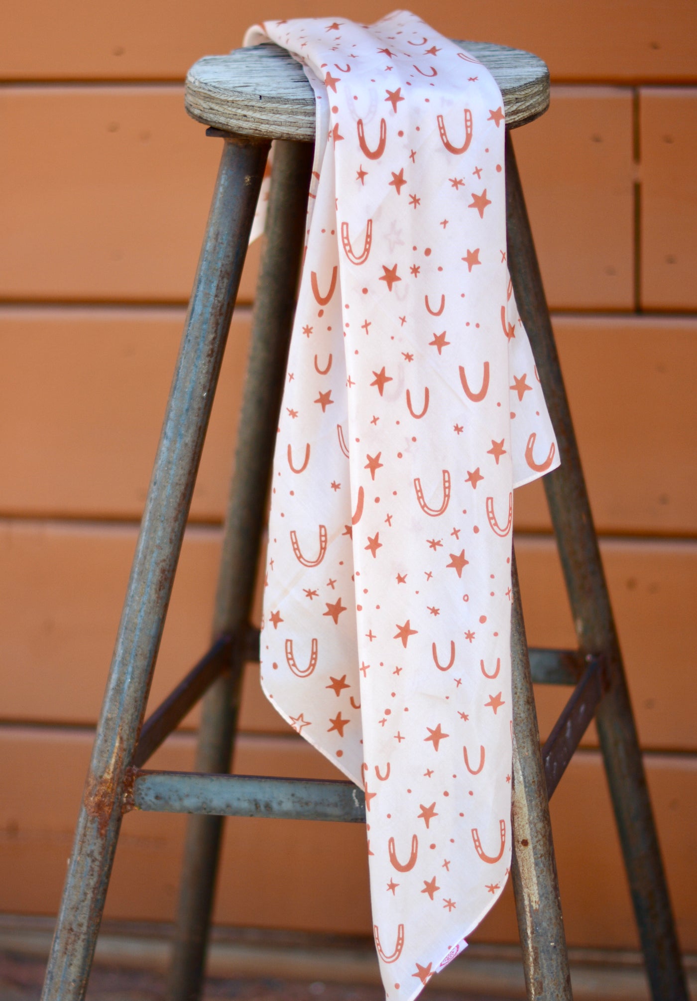 Wild Rags