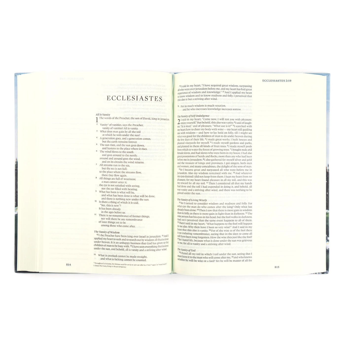 ESV Large Print Journaling Bible: Salzburg Theme