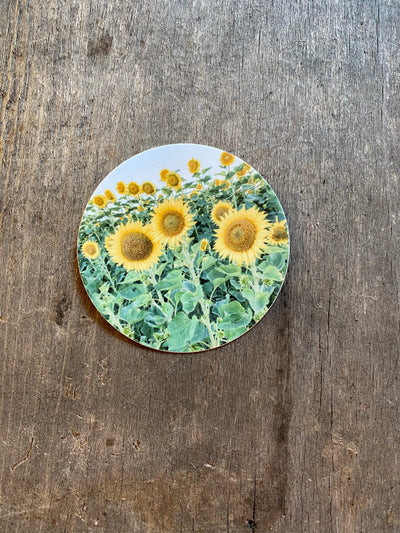 Sunflower Field Sticker